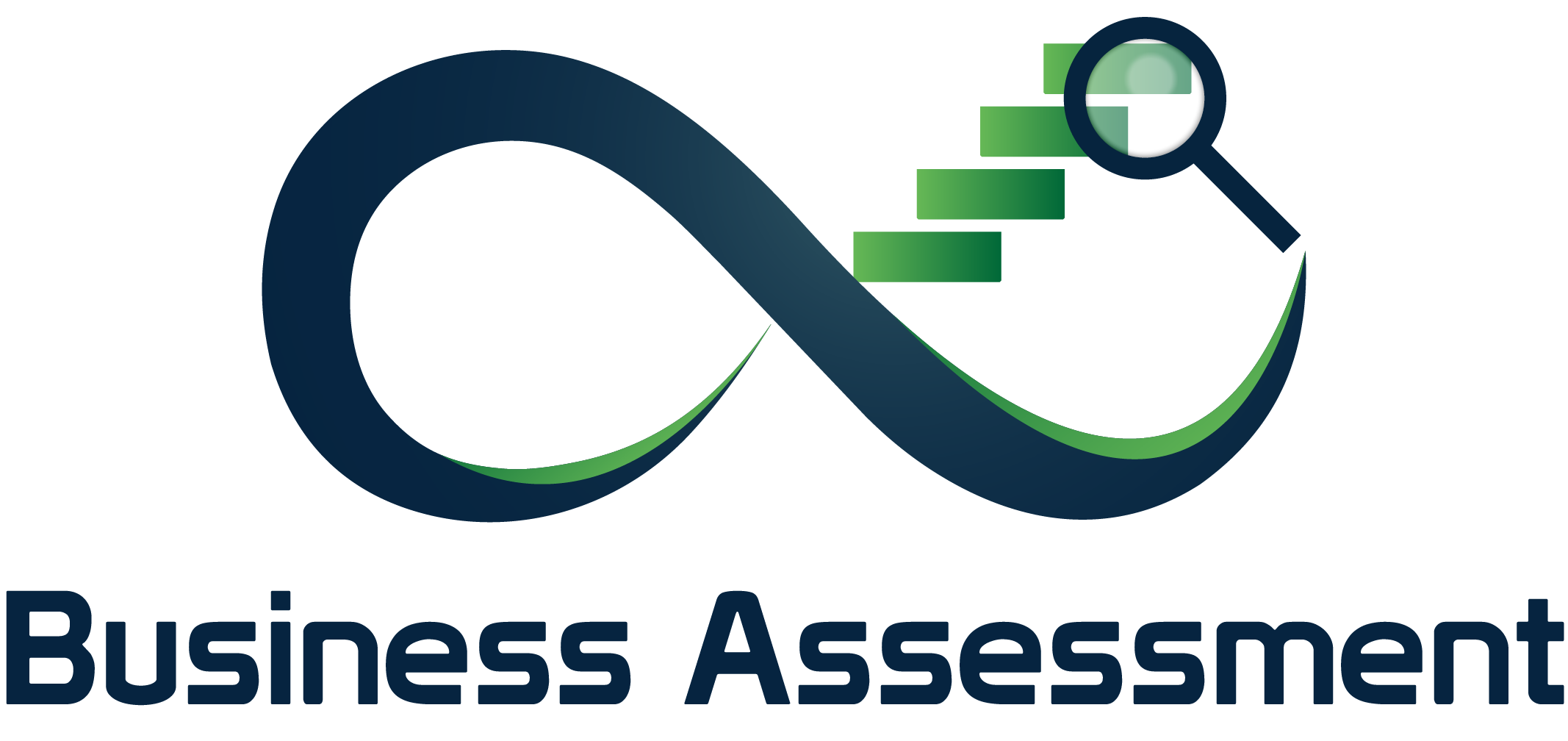 Business Assessment LLC